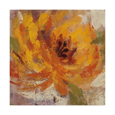 TRADEMARK FINE ART Silvia Vassileva 'Fiery Dahlias I Crop' Canvas Art, 35x35 WAP06691-C3535GG